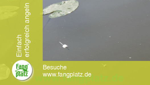 Maracas (1) &ndash; Hitzeschlacht auf Forellen