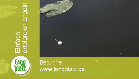 Maracas (1) &ndash; Hitzeschlacht auf Forellen