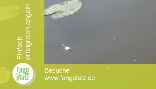 Maracas (1) &ndash; Hitzeschlacht auf Forellen