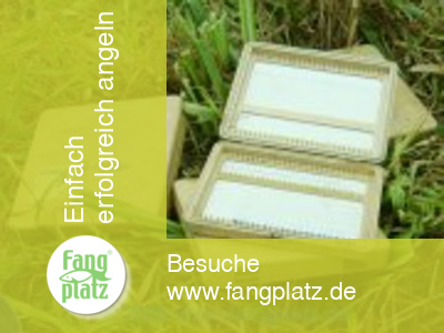 Perfektes Hakenvorfach - 3/4 : Aufbewahrung - Box