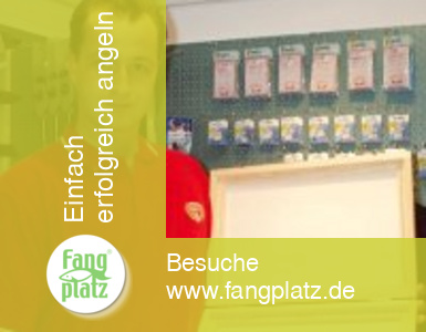 Perfektes Hakenvorfach - 4/4 - Anleitung - Box  Eigebau