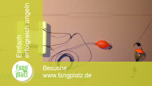 Aal-Monster mit Minibojen, die Montage (1)