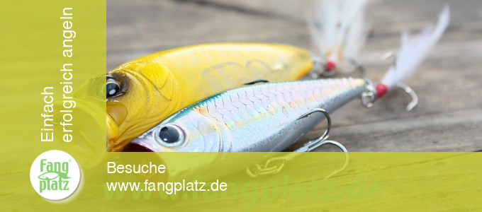 Raubfischangeln