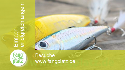 Popper richtig eingesetzt