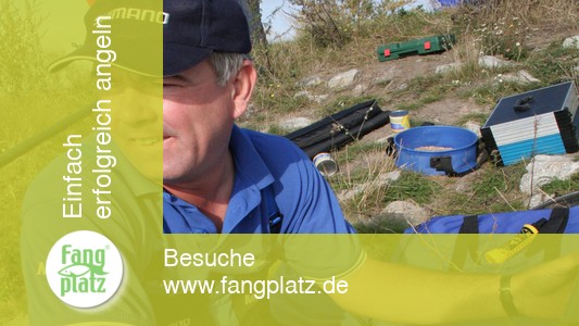 Rekordweltmeister A. Scotthorne mit der Kopfrute am Kanal (1)