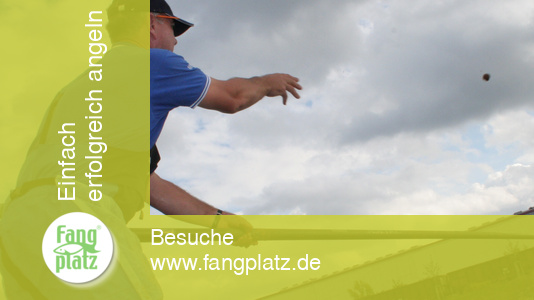 Rekordweltmeister A. Scotthorne mit der Kopfrute am Kanal (3)