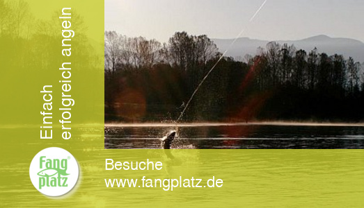 Tag 4 - Kanada: Reisetagebuch vom Stör- und Lachsangeln im Fraser River Tag 4 - Kanada: Reisetagebuch vom Stör- und Lachsangeln im Fraser River