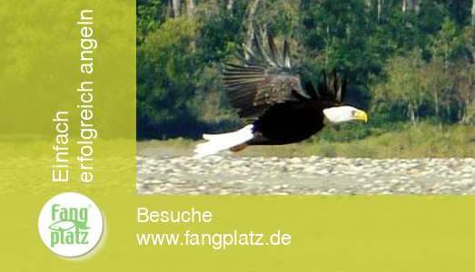 Tag 4 - Kanada: Reisetagebuch vom St&ouml;r- und Lachsangeln im Fraser River