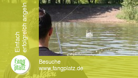 Kunstk&ouml;der, Teil 2: Erkundungstipps