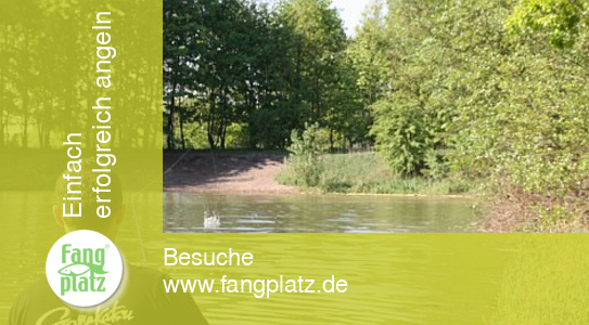 Kunstk&ouml;der, Teil 2: Erkundungstipps