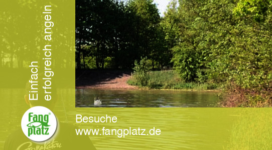 Kunstk&ouml;der, Teil 2: Erkundungstipps