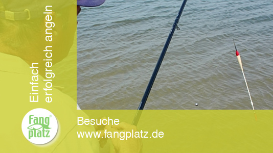 Matchrute: Mit Waggler auf Distanz angeln