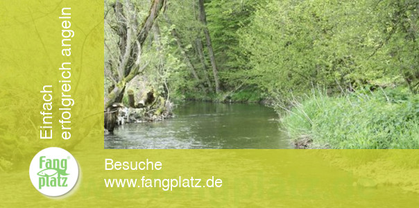Die hessische Aar (Kellerwald)