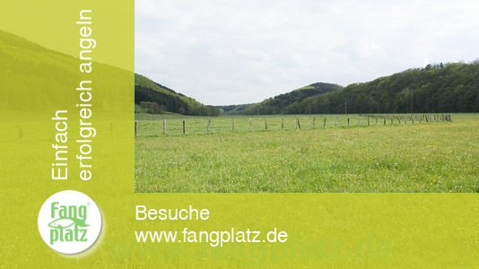 Die hessische Aar (Kellerwald)