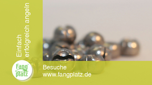 Bleischrot/Blei: Grundregeln zur Bebleiung von Waggler