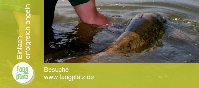 Angeln allgemein Angeln allgemein