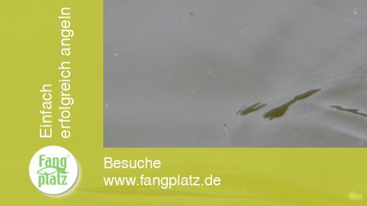 Barweiler M&uuml;hle - Angeltag - Shimano und Blinker