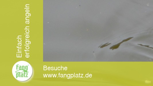 Barweiler M&uuml;hle - Angeltag - Shimano und Blinker