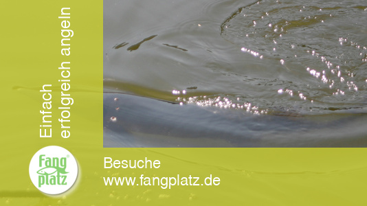 Barweiler Mühle - Angeltag - Shimano und Blinker Barweiler Mühle - Angeltag - Shimano und Blinker