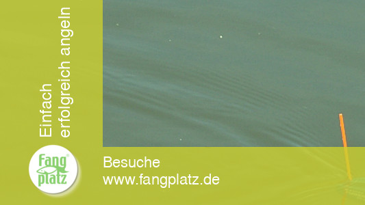 Cralusso Torpedo Vorstellung