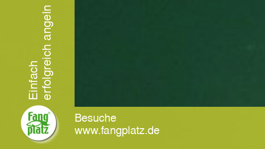 Sommerhechte: Die Beisszeiten