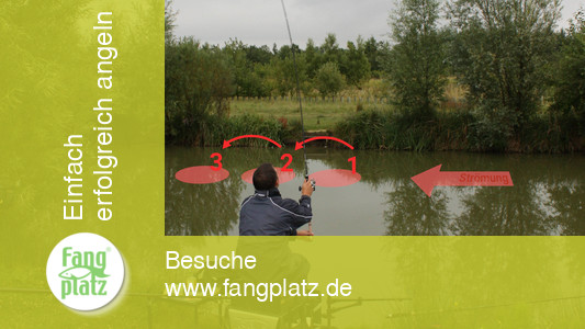 Feedern: Futterspur im Fluss