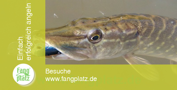 Praxis Test Sinking Range Minnow II