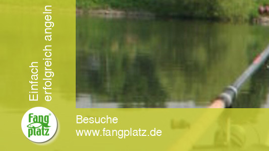 "Klug" gefeedert (1)