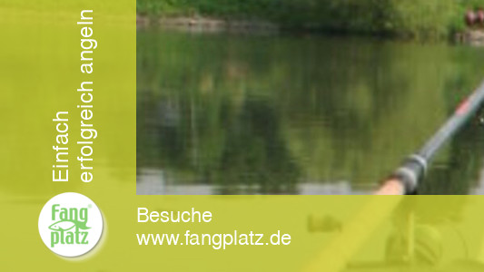 "Klug" gefeedert (1)