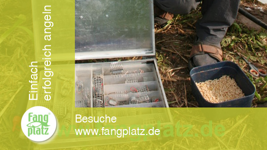 "Klug" gefeedert (1)