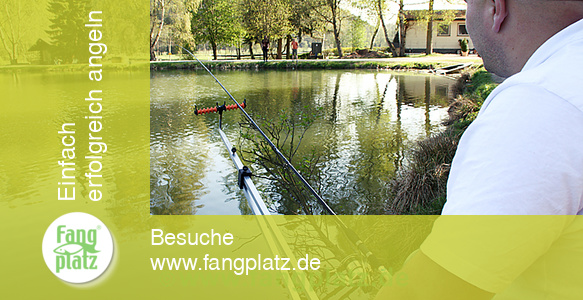 Die Oval Blank Funktion von Shimano