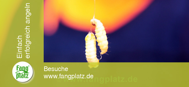 Forellen mit Glas &uuml;berlistet (2)