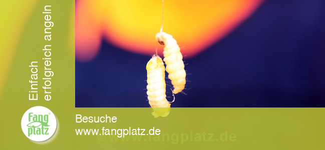 Forellen mit Glas &uuml;berlistet (2)