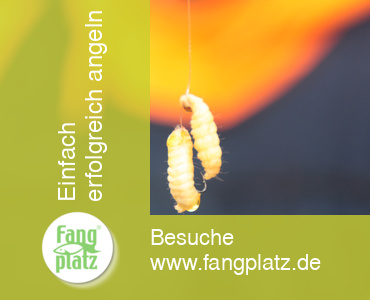 Forellen mit Glas &uuml;berlistet (2)