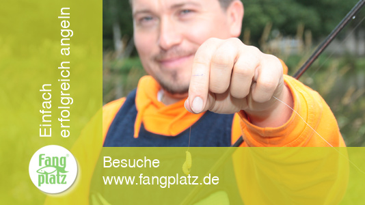 Forellen mit Glas &uuml;berlistet (1)