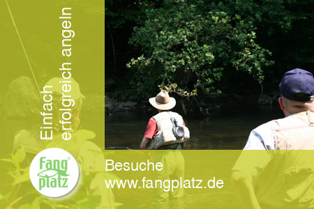 Fliegenfisch-Exkursion