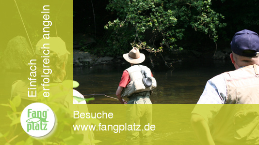 Fliegenfisch-Exkursion