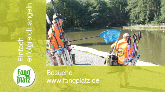 Tremarella Einstieg: Idee und Methode