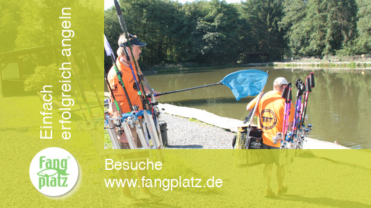 Tremarella Einstieg: Idee und Methode