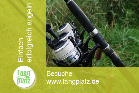 Wallerangeln in Deutschland im Baggersee (Teil 2)