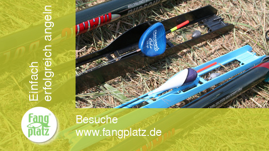 Posentest: Konventionelle Bolo gegen Cralusso-Bolo-Pose