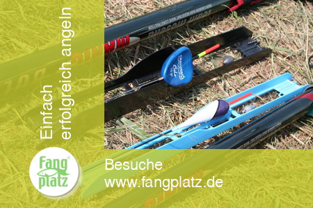 Testberichte