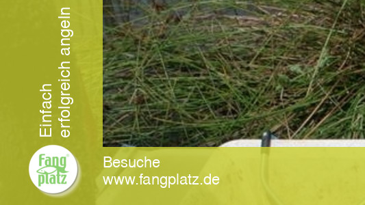 Doppelt f&auml;ngt besser! - Futter, Waggler, Insertwaggler, Montagen  | Fangplatz.de