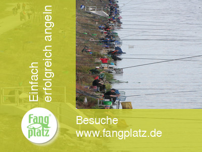 Das Angeljahr 2007 aus der fangplatz-Perspektive