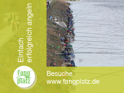 Das Angeljahr 2007 aus der fangplatz-Perspektive