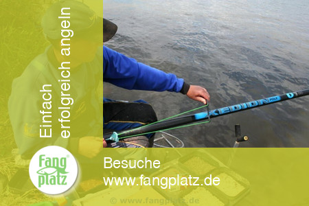 Perfektes Castern mit der Stange im Fluss: Futter, Strategie