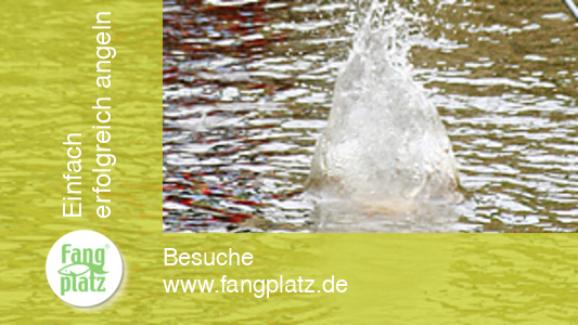 Futterstrategie in schmalen fließenden Gewässern Futterstrategie in schmalen fließenden Gewässern