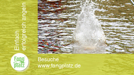 Futterstrategie in schmalen flie&szlig;enden Gew&auml;ssern