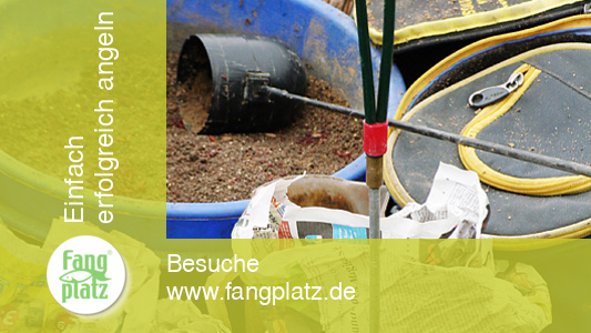 Futterstrategie in schmalen flie&szlig;enden Gew&auml;ssern