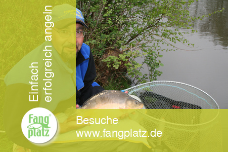 Der große Unterschied – Karpfenspaß mit der Stipprute! Der große Unterschied – Karpfenspaß mit der Stipprute!